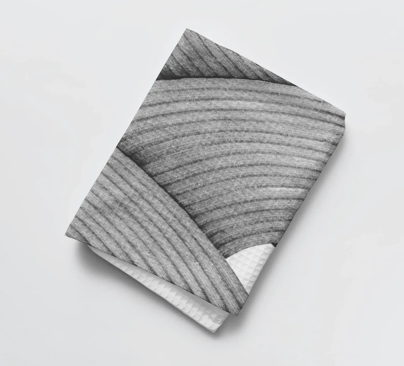 Ashes torchon de studiosantai