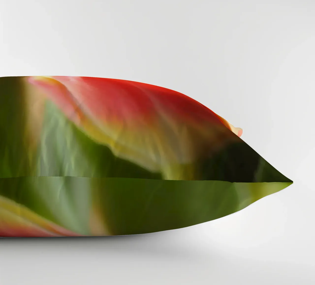 Due tulipani rosso-arancio in una ripresa macro cuscino da Something for you