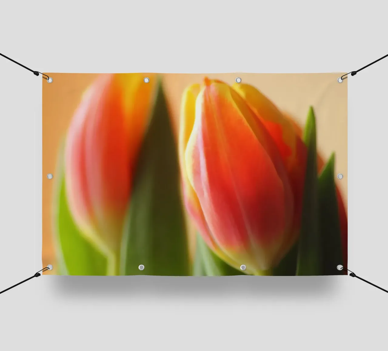 Due tulipani rosso-arancio in una ripresa macro telo in pvc da Something for you