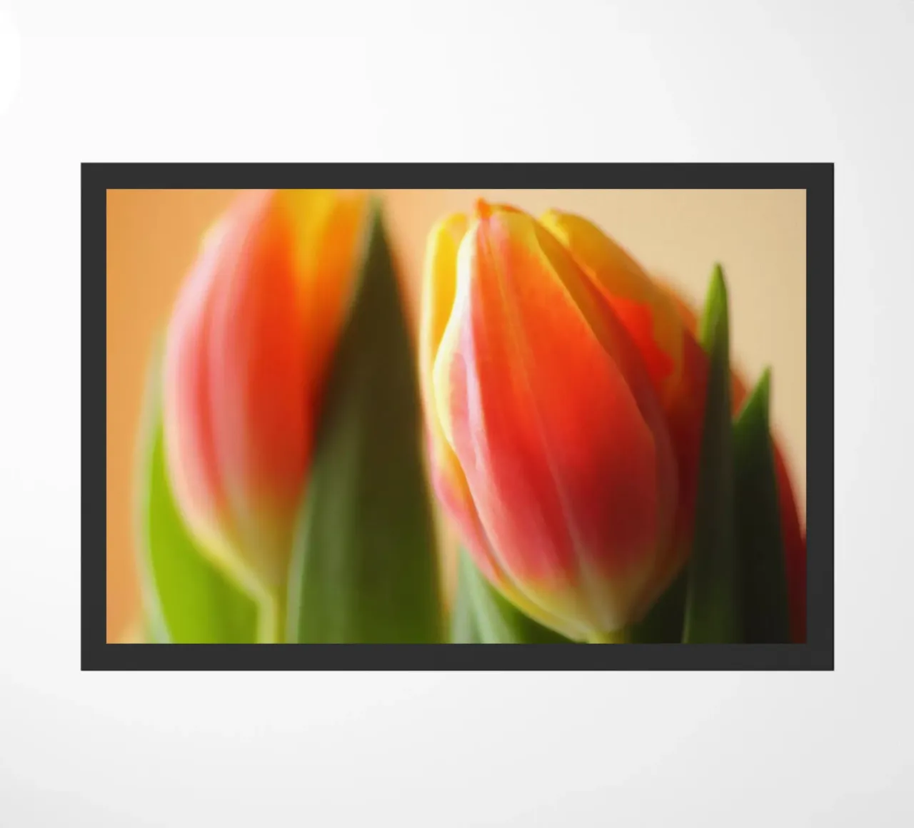 Due tulipani rosso-arancio in una ripresa macro zerbino da Something for you