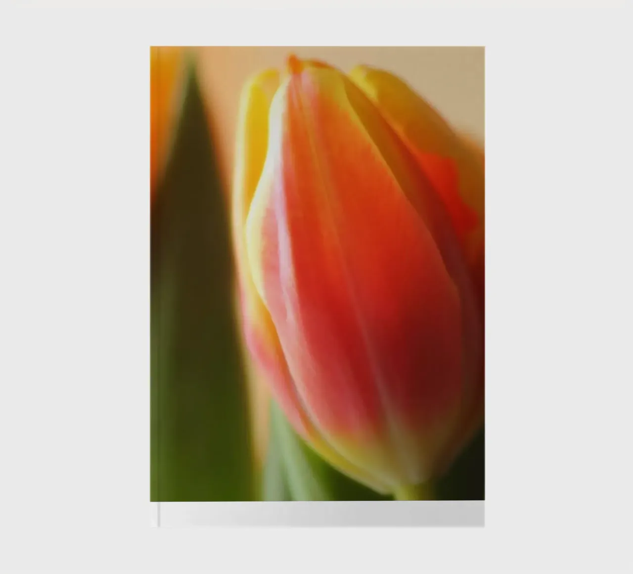 Two red-orange tulips as a macro shot notebook by Something for you