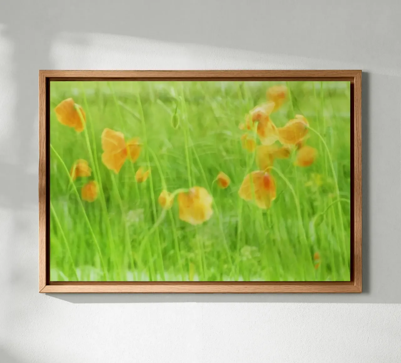 Red poppies in the wind canvas with Floater frame by Something for you