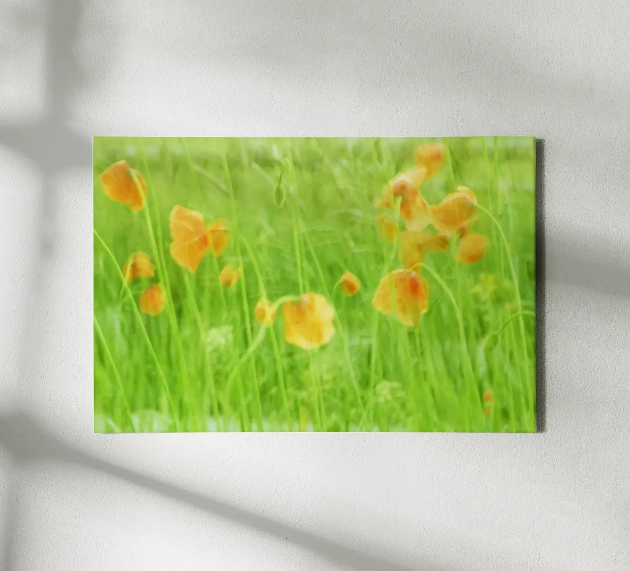 Red poppies in the wind canvas with Floater frame by Something for you
