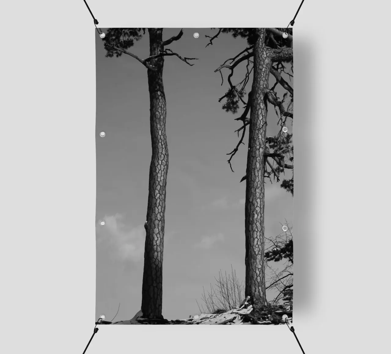 Due alberi in inverno su una collina in bianco e nero telo in pvc da Something for you
