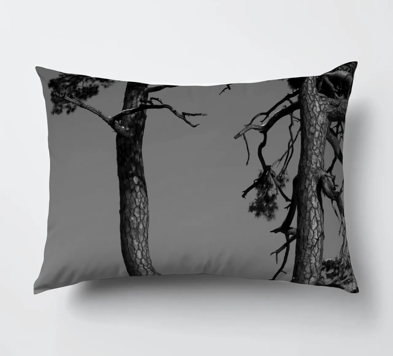 Due alberi in inverno su una collina in bianco e nero cuscino da Something for you