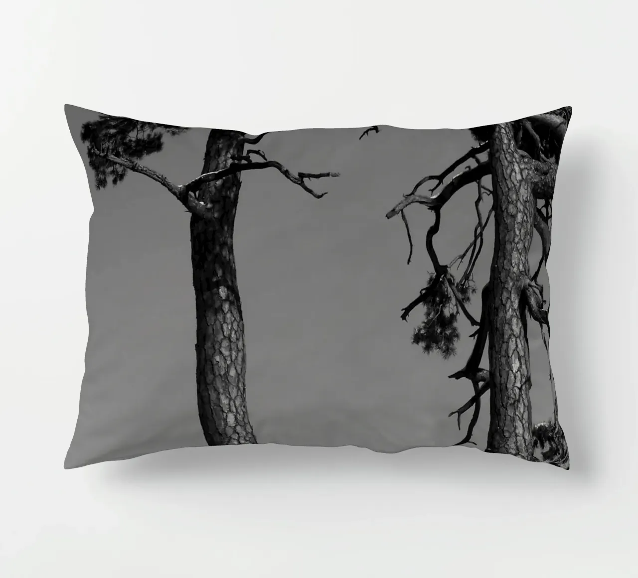 Due alberi in inverno su una collina in bianco e nero cuscino da Something for you