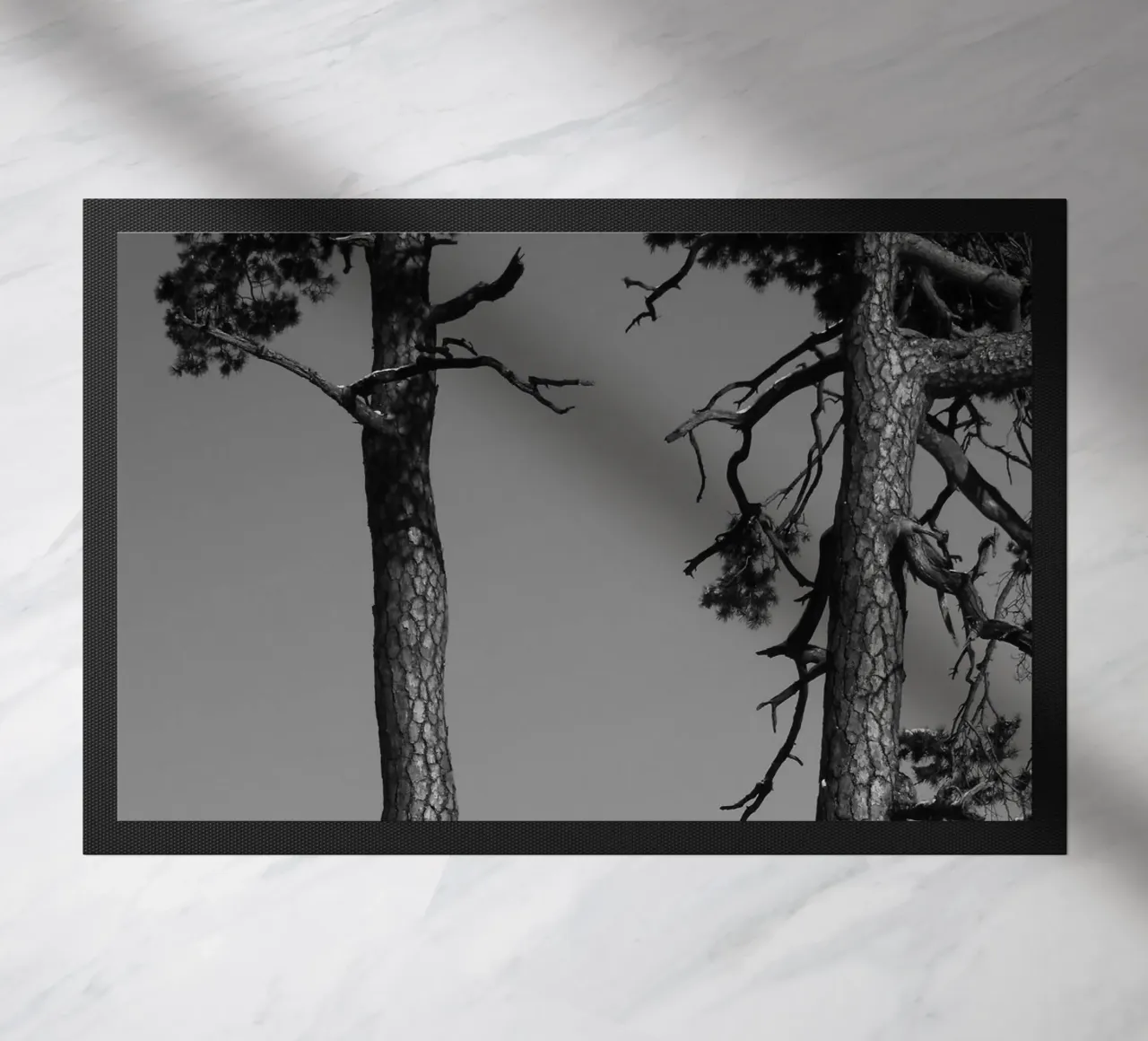 Due alberi in inverno su una collina in bianco e nero zerbino da Something for you