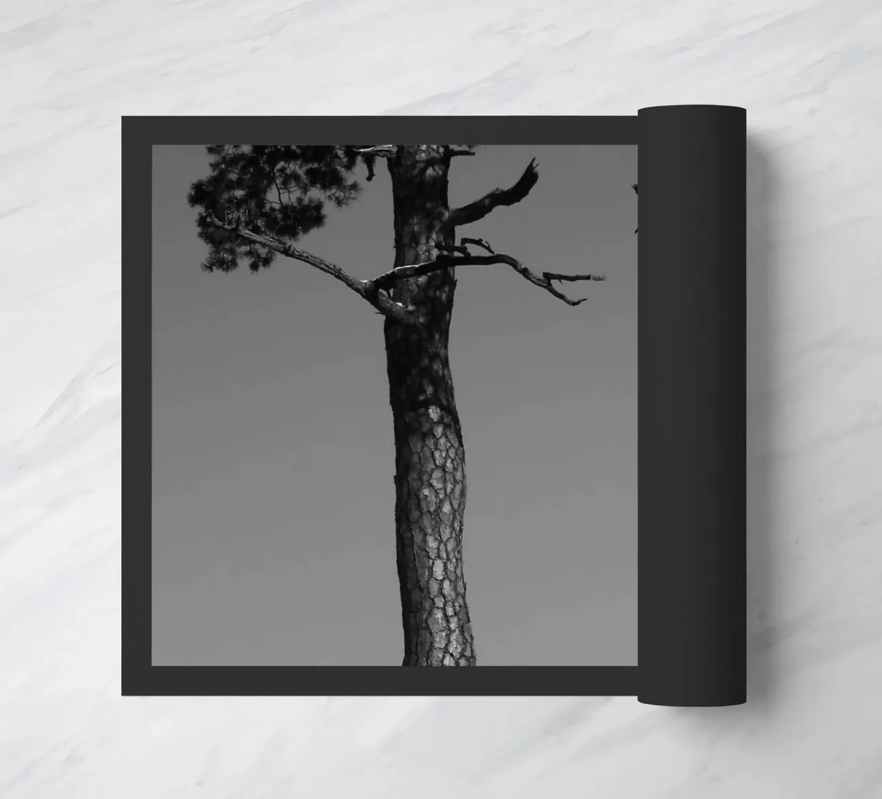 Due alberi in inverno su una collina in bianco e nero zerbino da Something for you