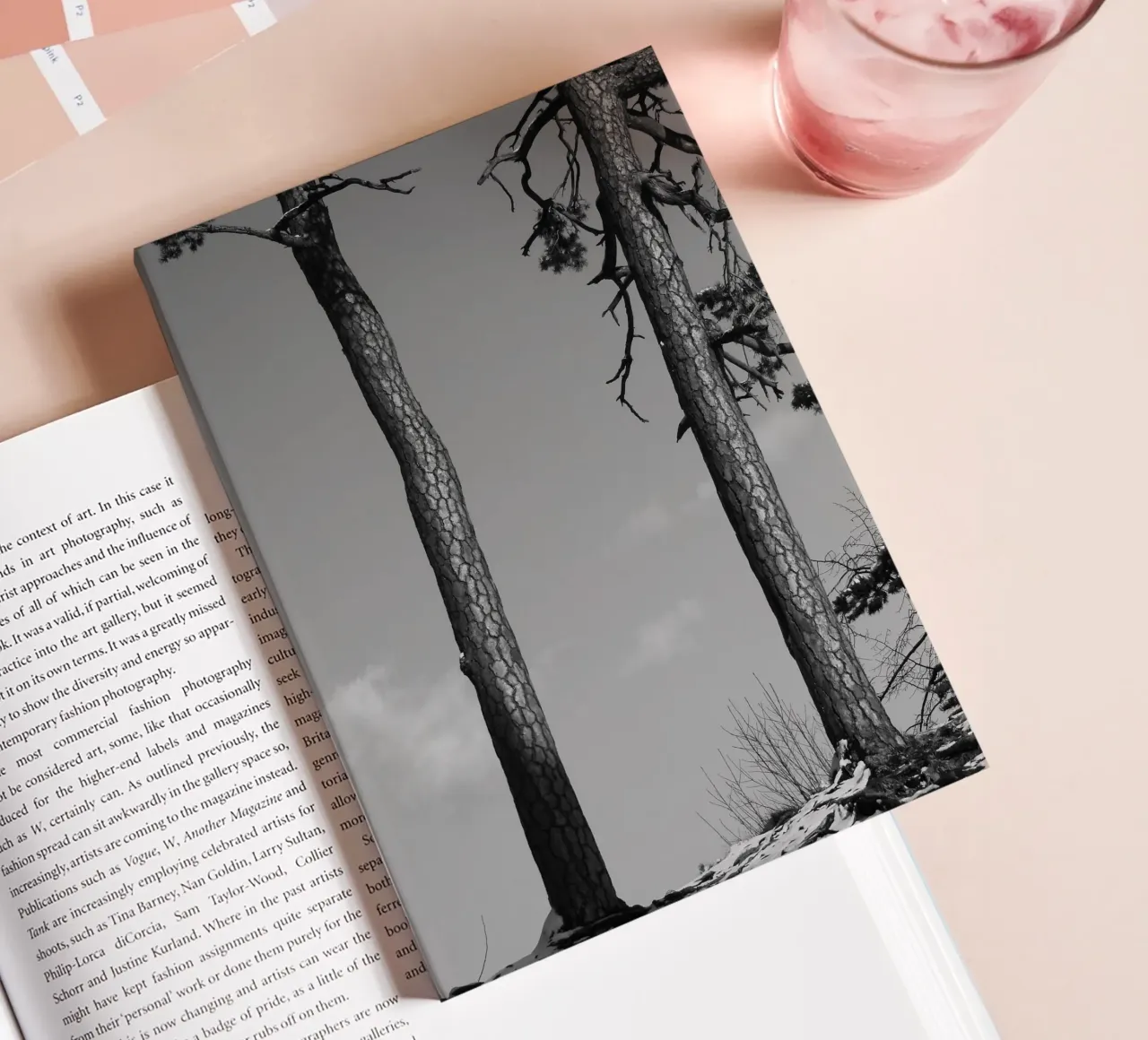 Due alberi in inverno su una collina in bianco e nero diario da Something for you
