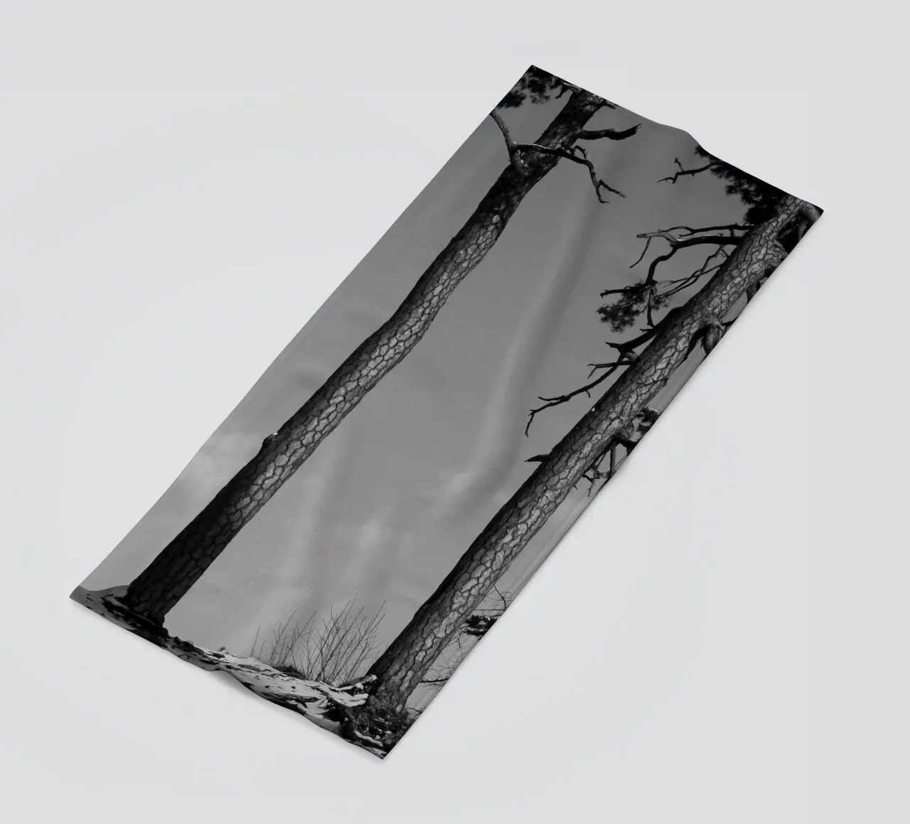 Due alberi in inverno su una collina in bianco e nero telo mare da Something for you