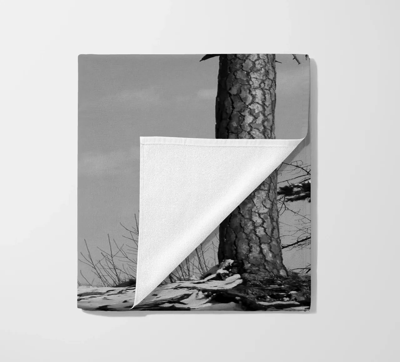 Due alberi in inverno su una collina in bianco e nero telo mare da Something for you