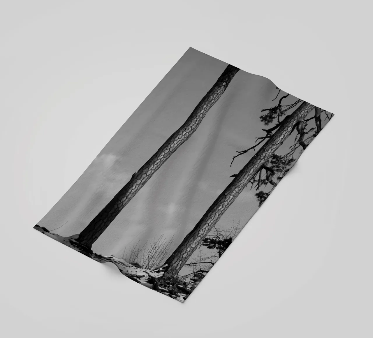 Due alberi in inverno su una collina in bianco e nero telo mare da Something for you