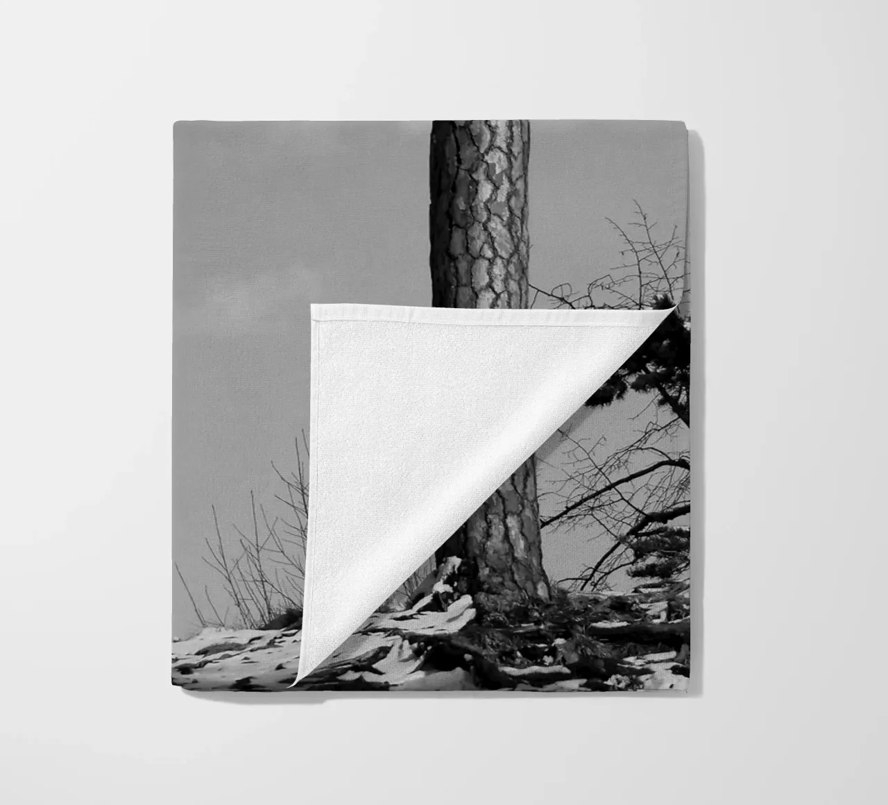 Due alberi in inverno su una collina in bianco e nero telo mare da Something for you