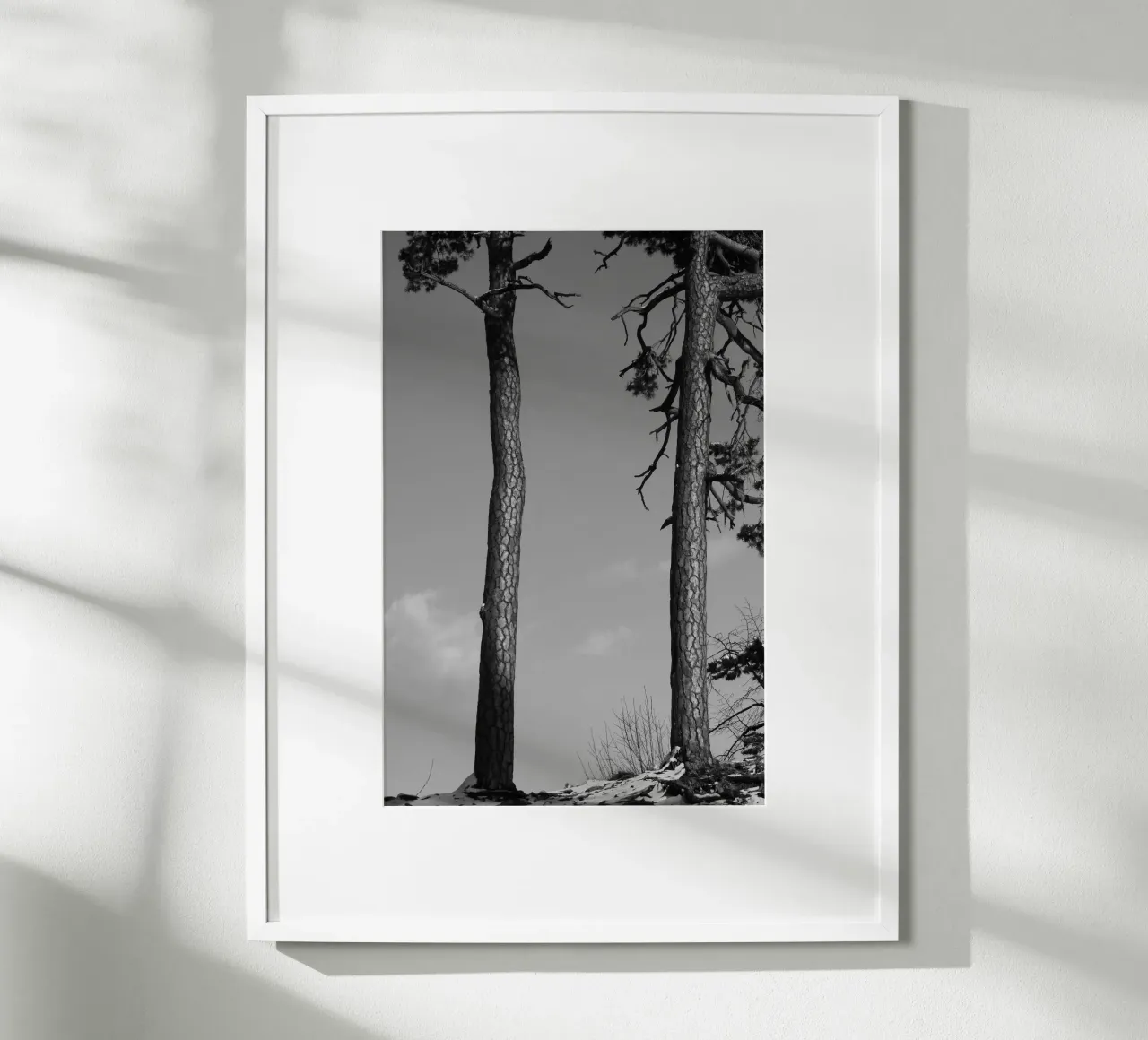 Due alberi in inverno su una collina in bianco e nero poster da Something for you