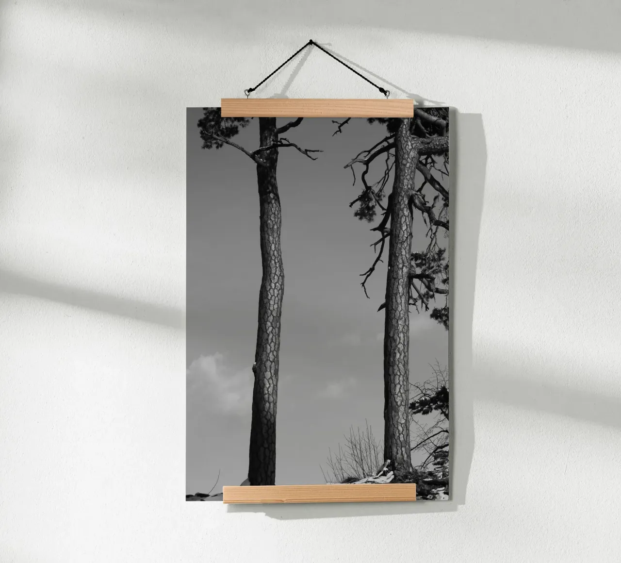 Due alberi in inverno su una collina in bianco e nero poster da Something for you
