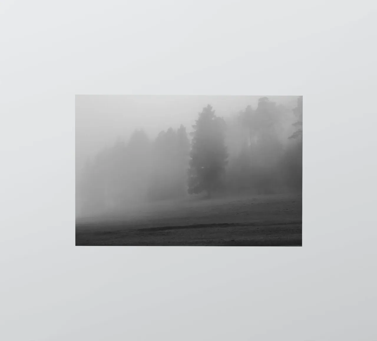 Meadow and trees in the fog sticker by Something for you