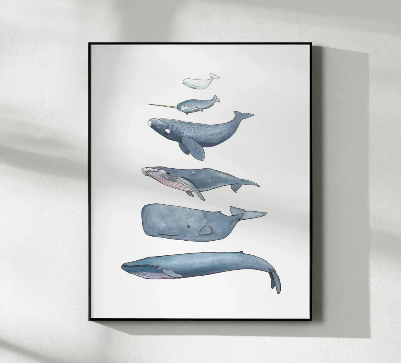 Wale plexiglass da Sandra Brill