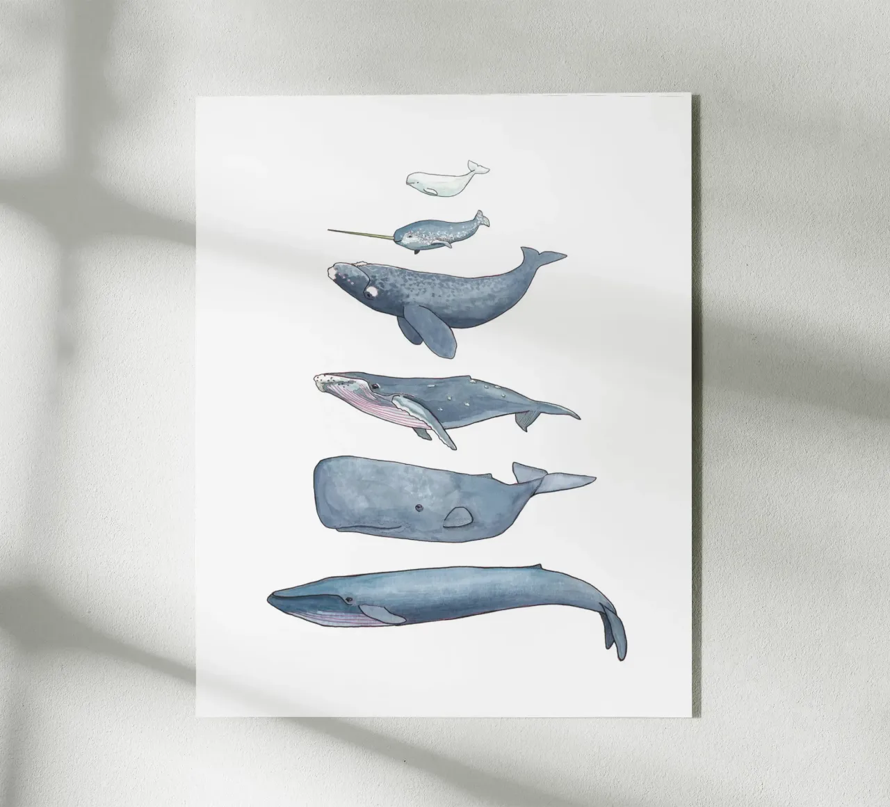 Wale plexiglass da Sandra Brill