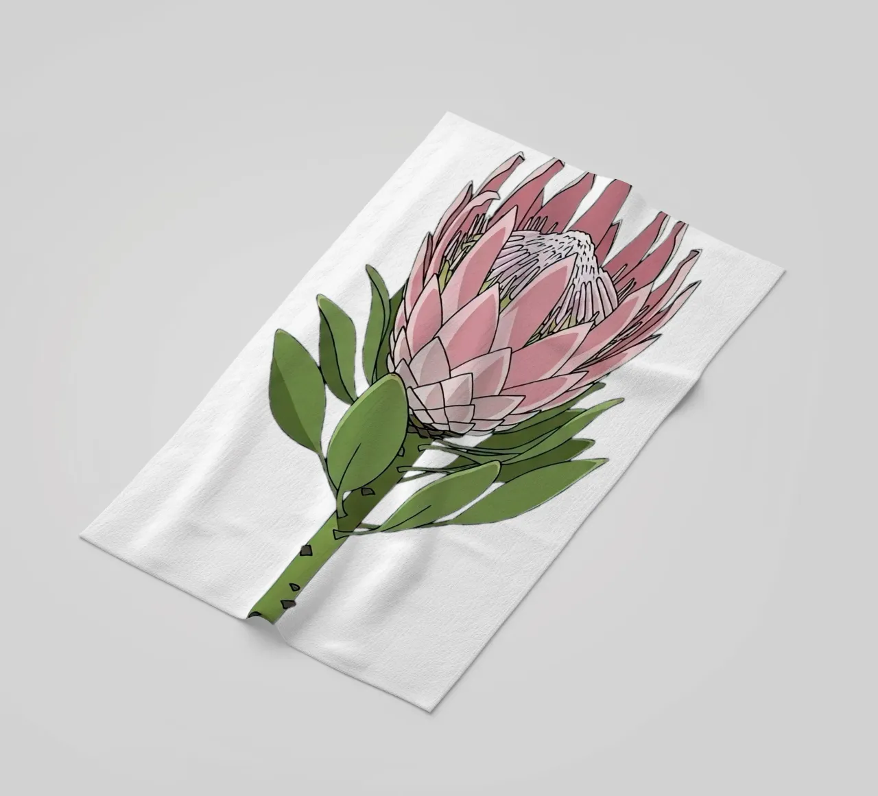 Re Protea telo mare da vector art