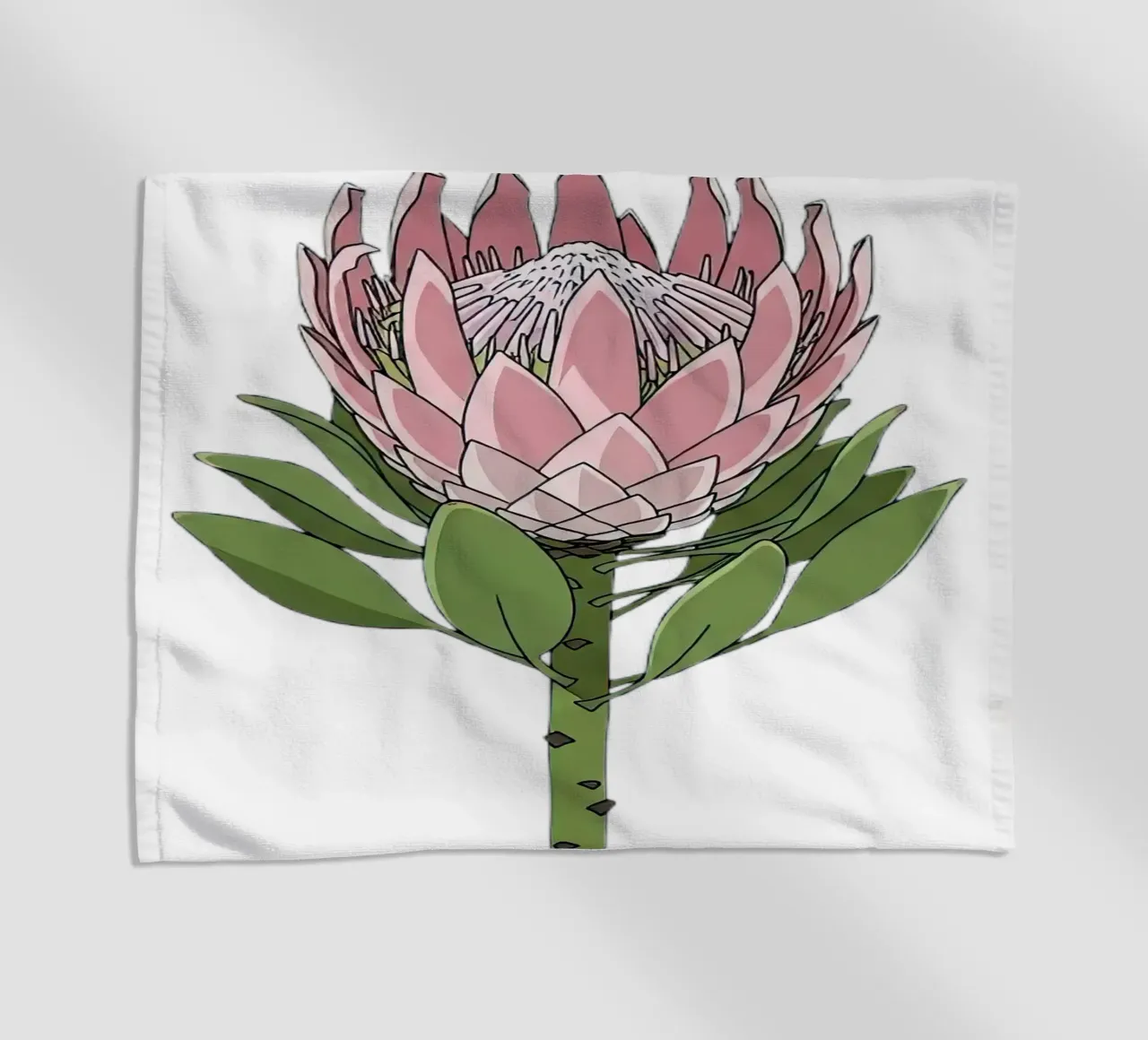 Re Protea telo mare da vector art