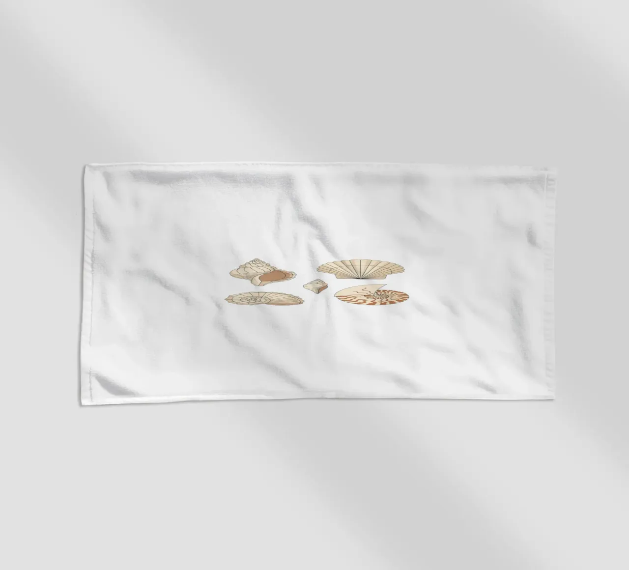 seashell varieties telo mare da Minimalist vector art