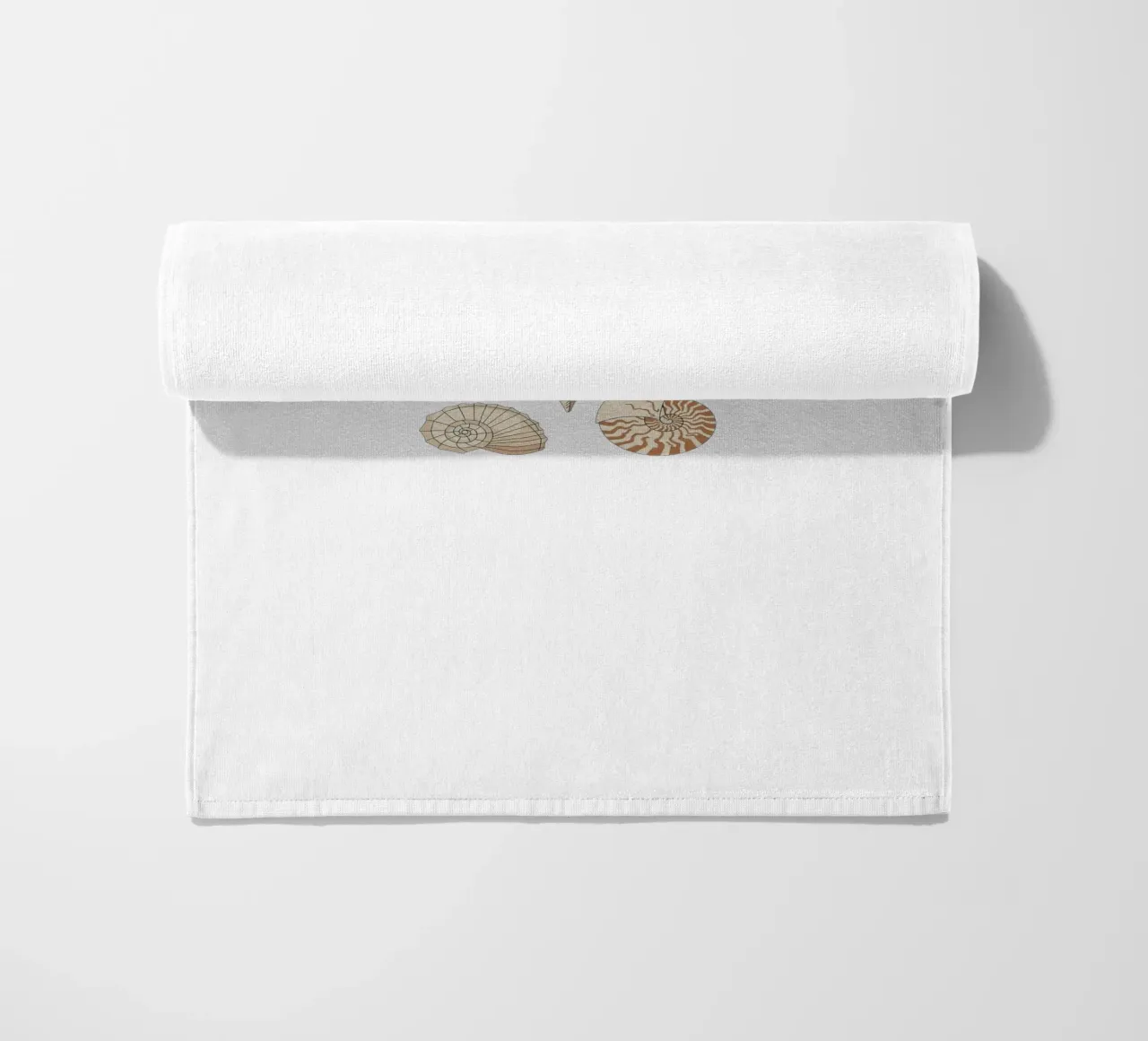 seashell varieties telo mare da Minimalist vector art