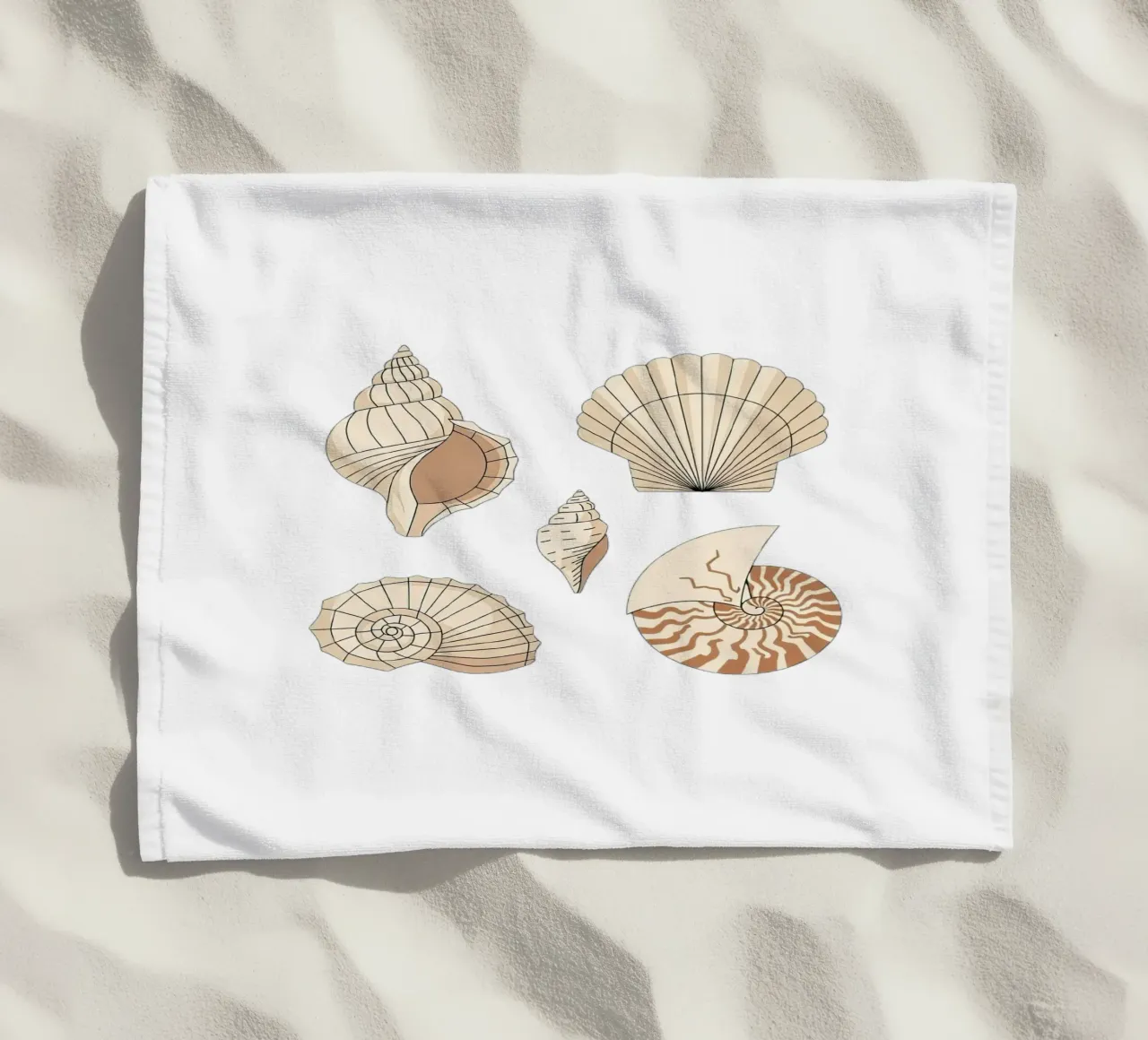 seashell varieties telo mare da Minimalist vector art