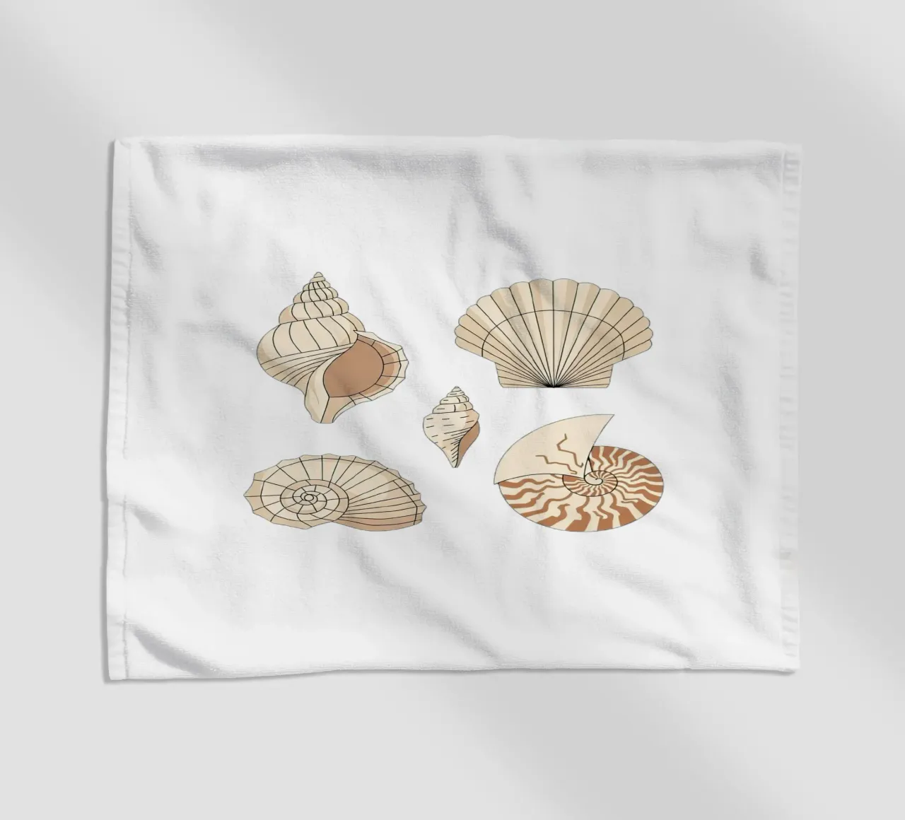 seashell varieties telo mare da Minimalist vector art