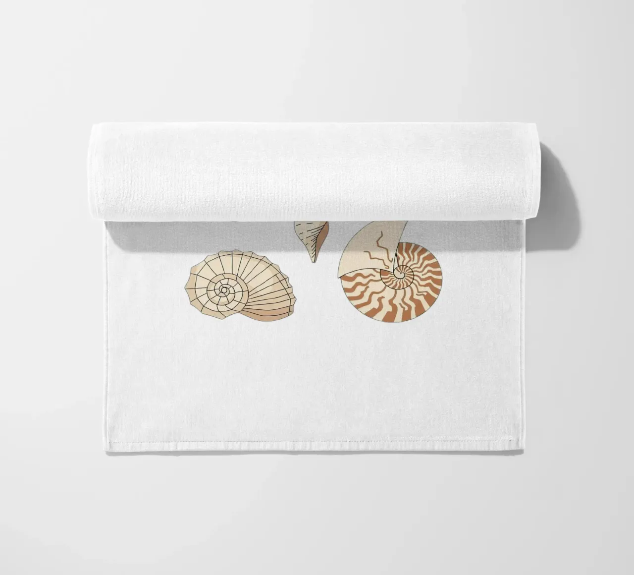seashell varieties telo mare da Minimalist vector art