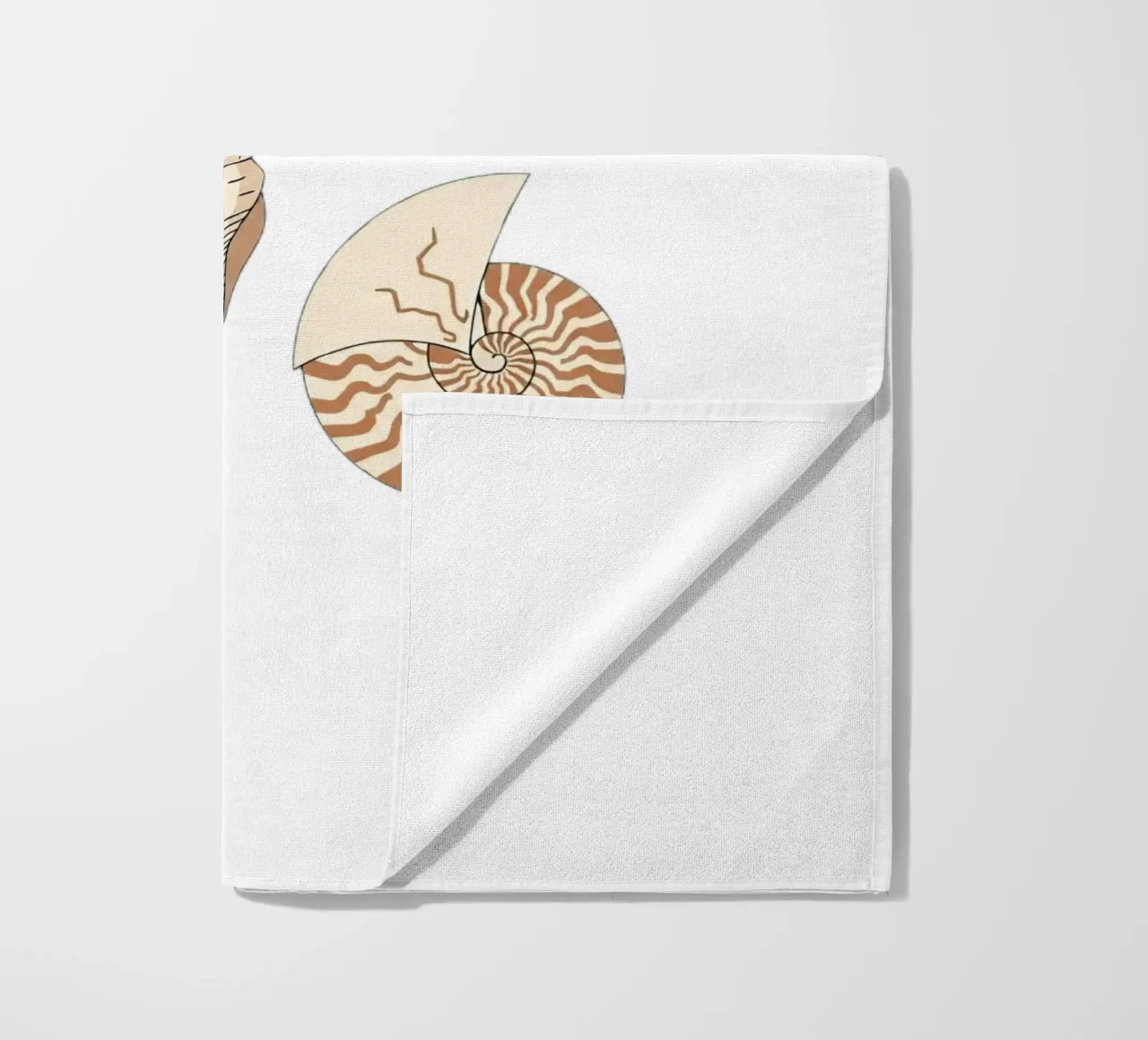 seashell varieties telo mare da Minimalist vector art