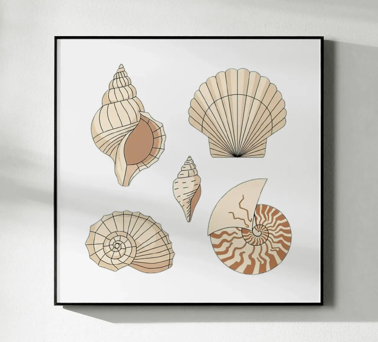 seashell varieties plexiglass da Minimalist vector art