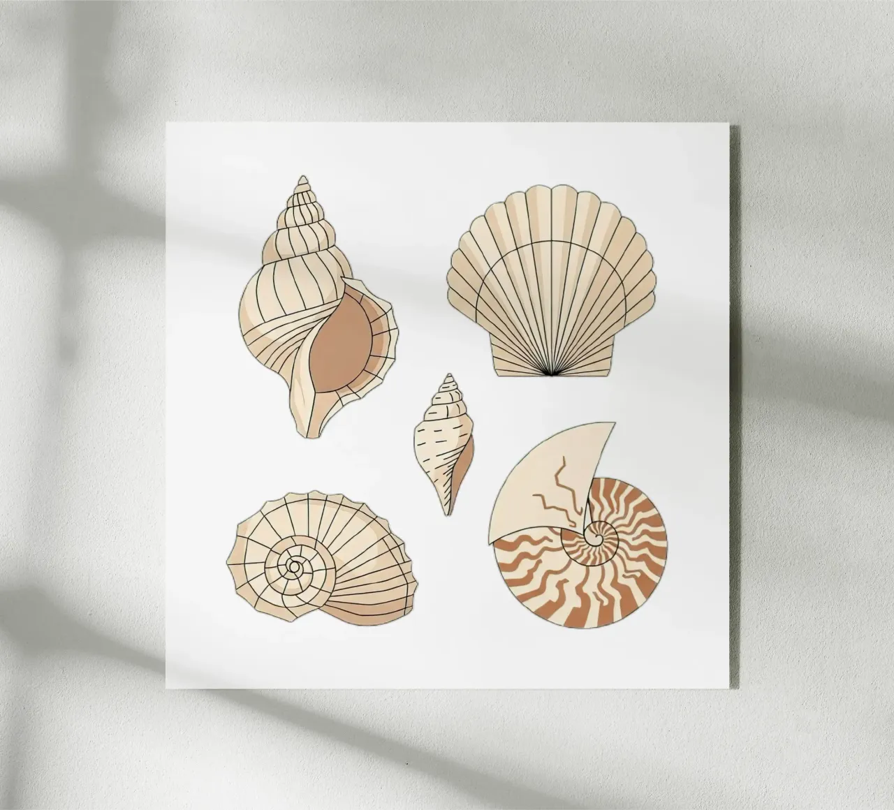 seashell varieties acryl van Minimalist vector art