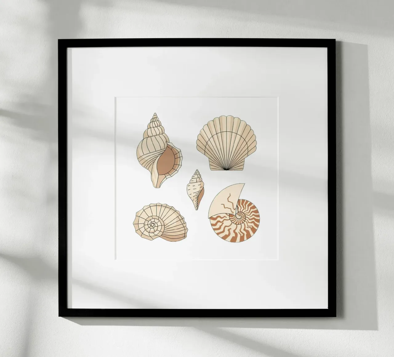 seashell varieties poster by vector art