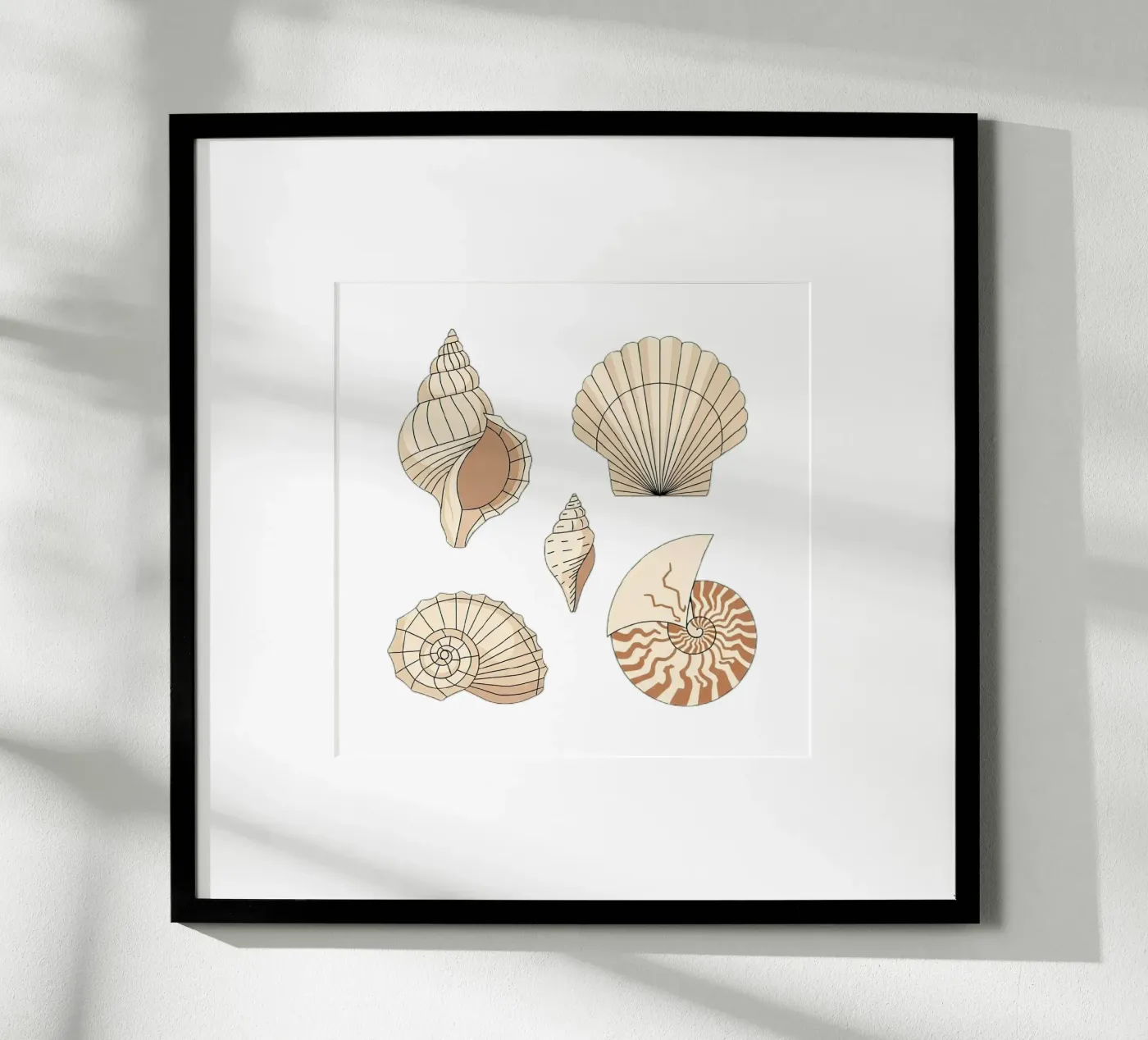 schelpsoorten poster van Minimalist vector art