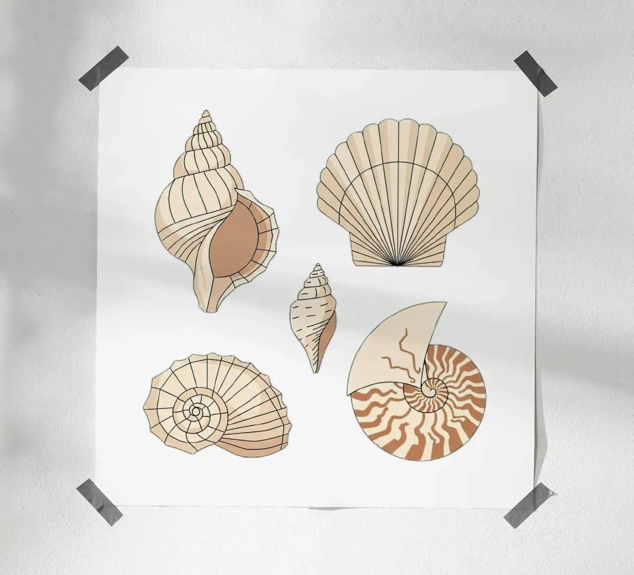 seashell varieties poster by vector art