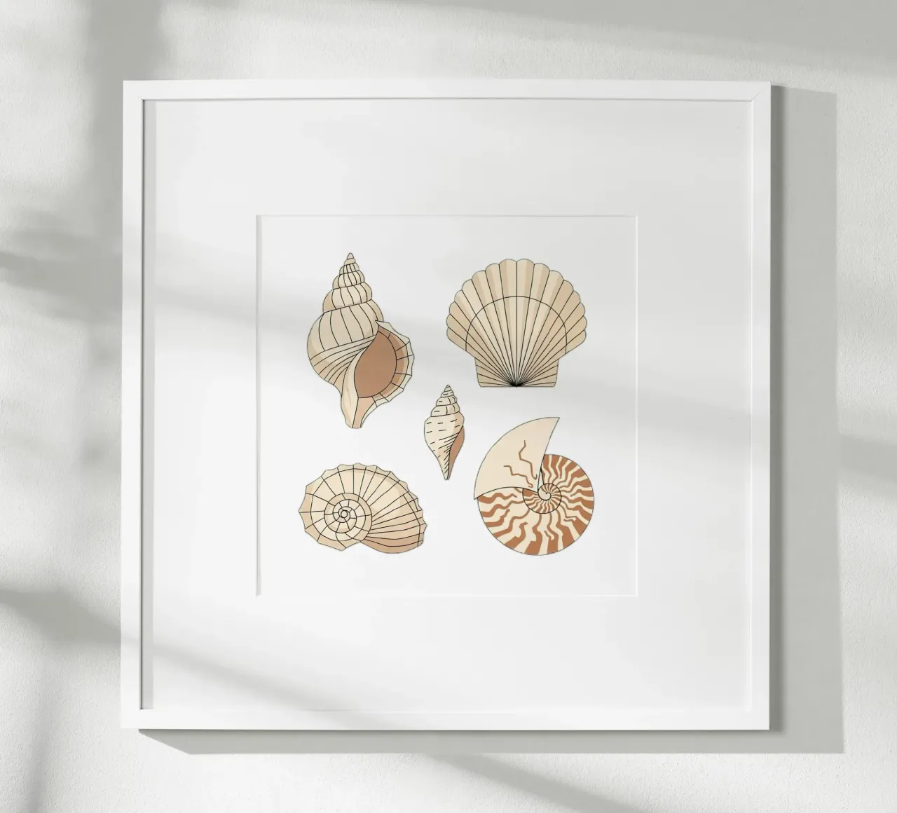 seashell varieties poster by vector art
