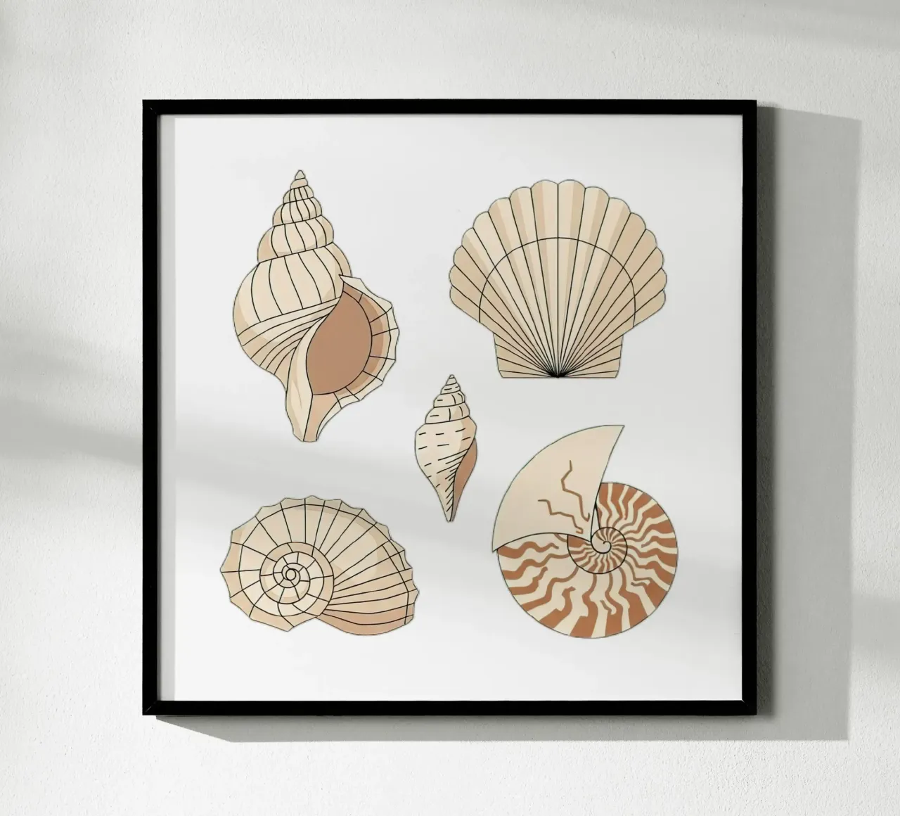 seashell varieties poster by vector art