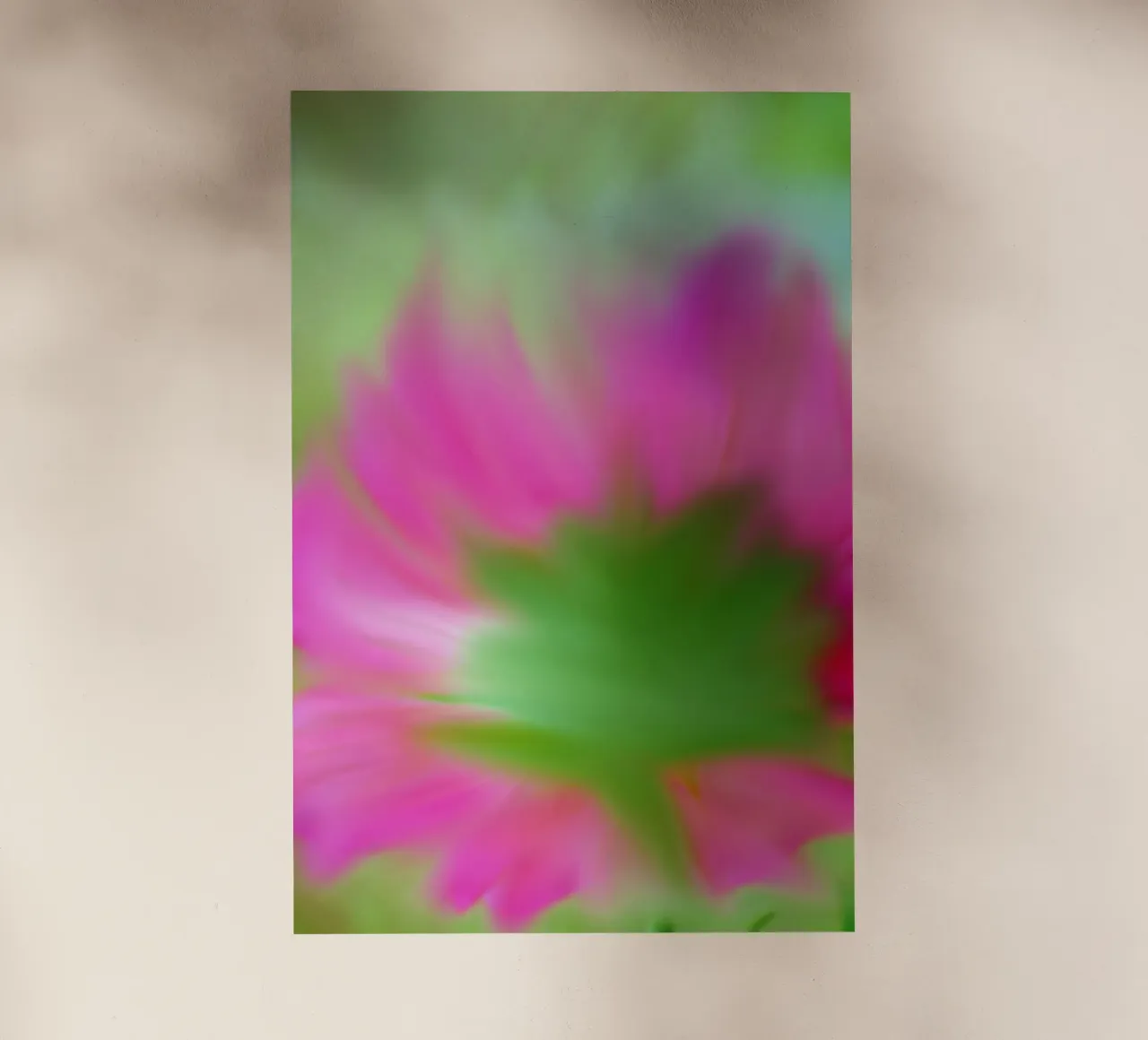 Piccolo fiore rosa sfocato artisticamente pellicola backlit da Something for you