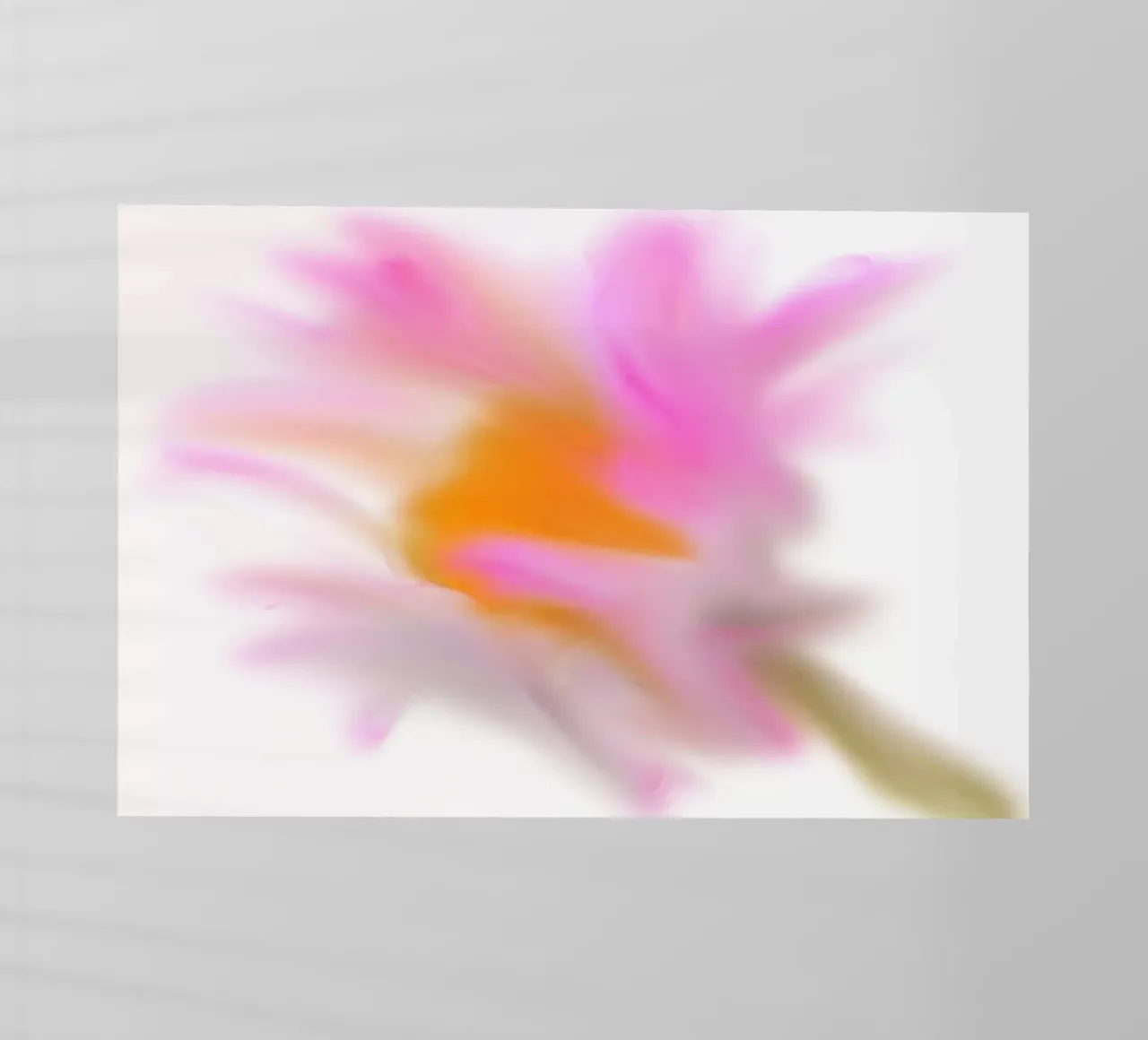 Piccolo fiore rosa sfocato artisticamente pellicola backlit da Something for you