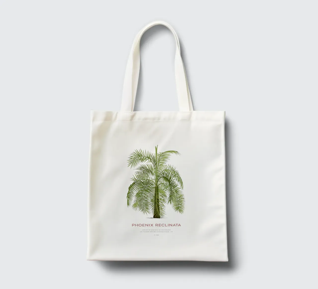 Arabian date palm or Phoenix reclinata tote bag by Vintagrafica