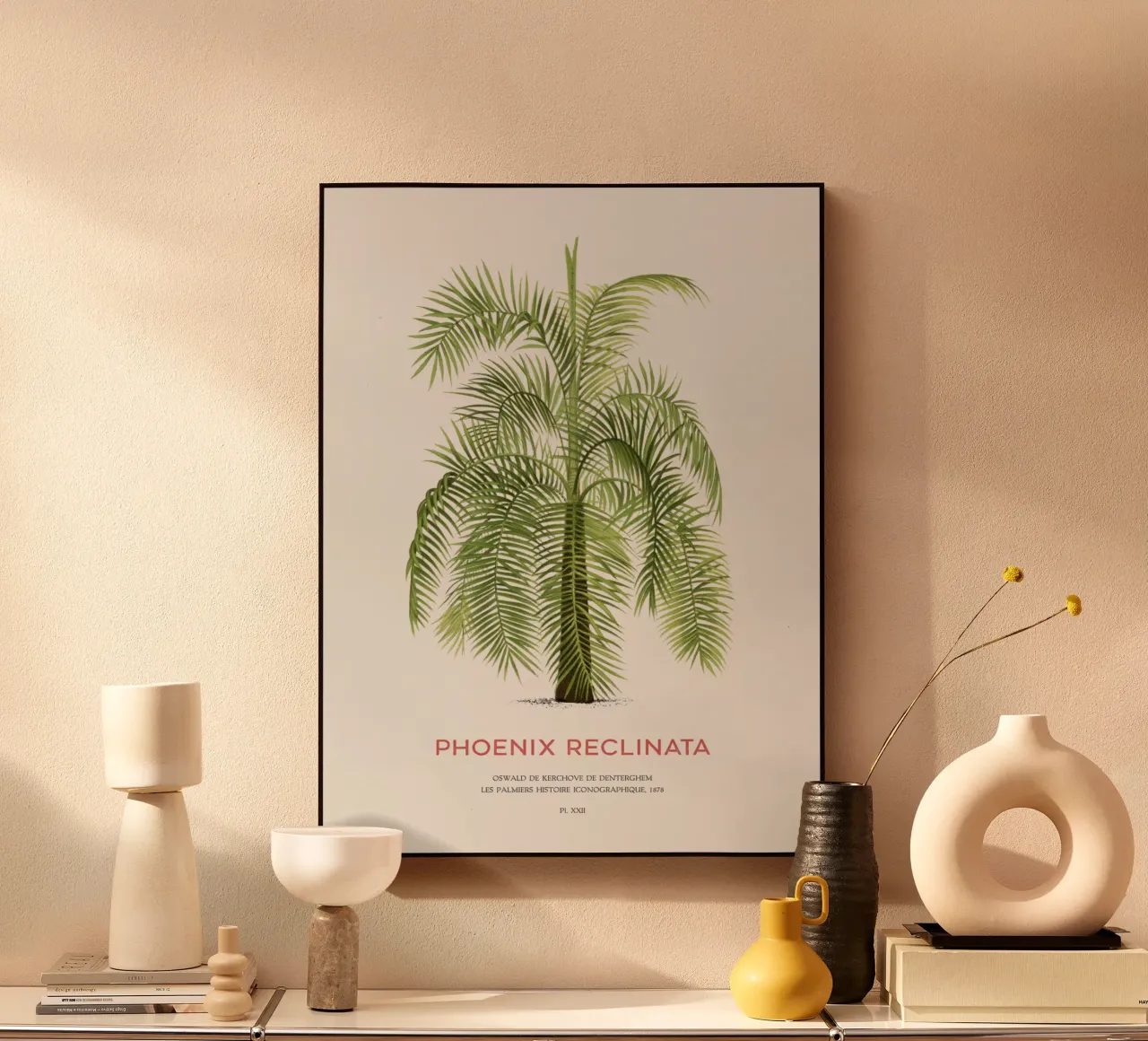 Palmera datilera árabe o Phoenix reclinata metacrilato de Vintagrafica