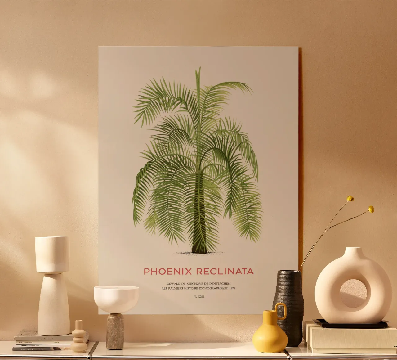 Palmera datilera árabe o Phoenix reclinata metacrilato de Vintagrafica