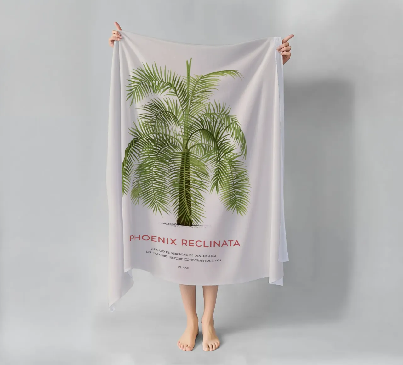 Dattier d'Arabie ou Phoenix reclinata serviette de plage de Vintagrafica