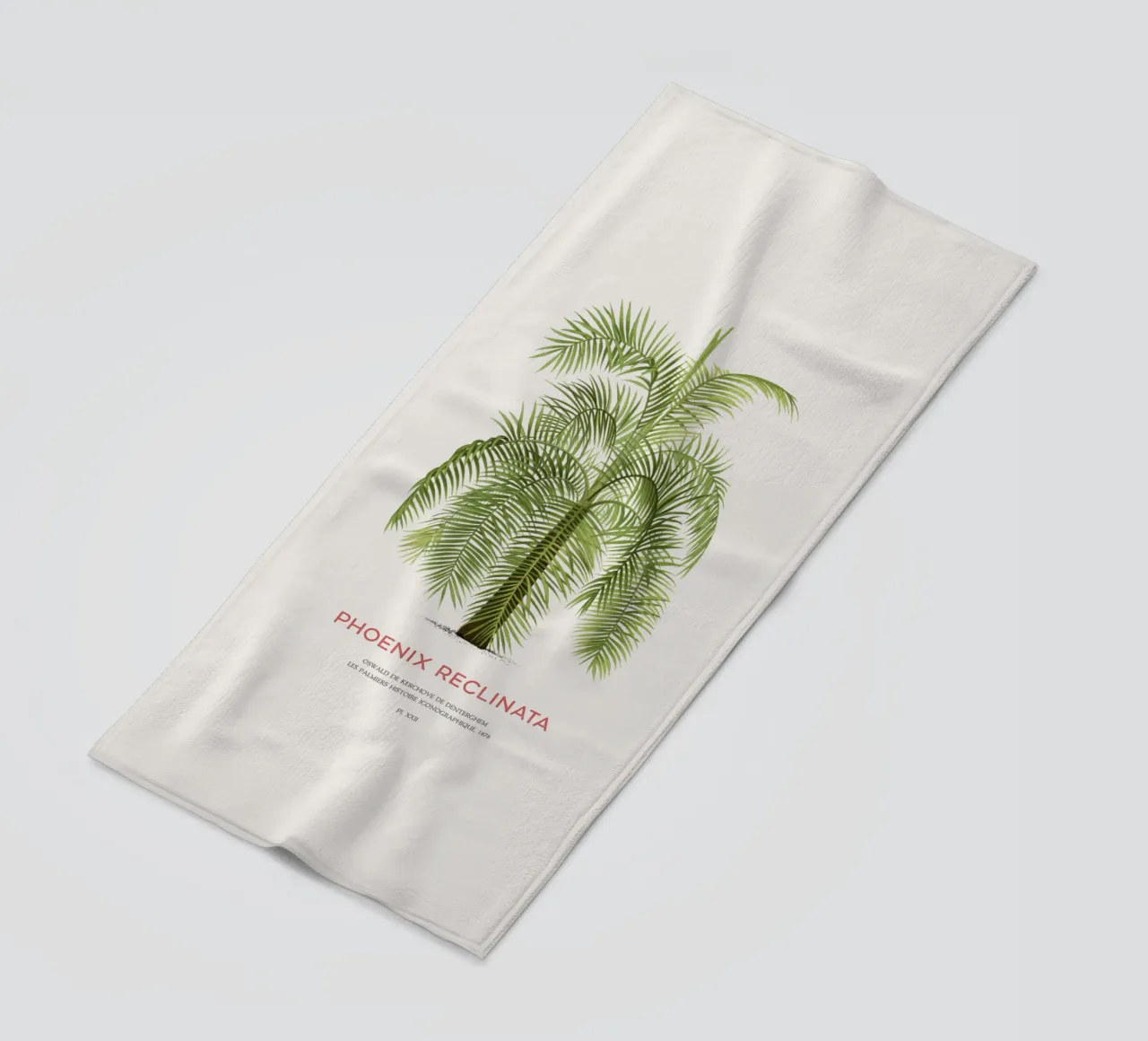 Dattier d'Arabie ou Phoenix reclinata serviette de plage de Vintagrafica