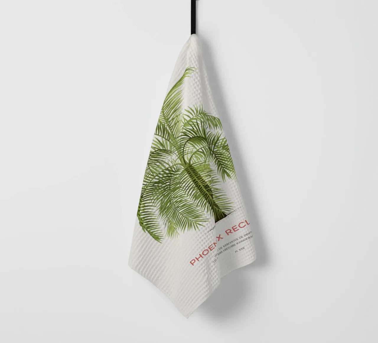 Palmera datilera árabe o Phoenix reclinata paño de cocina de Vintagrafica