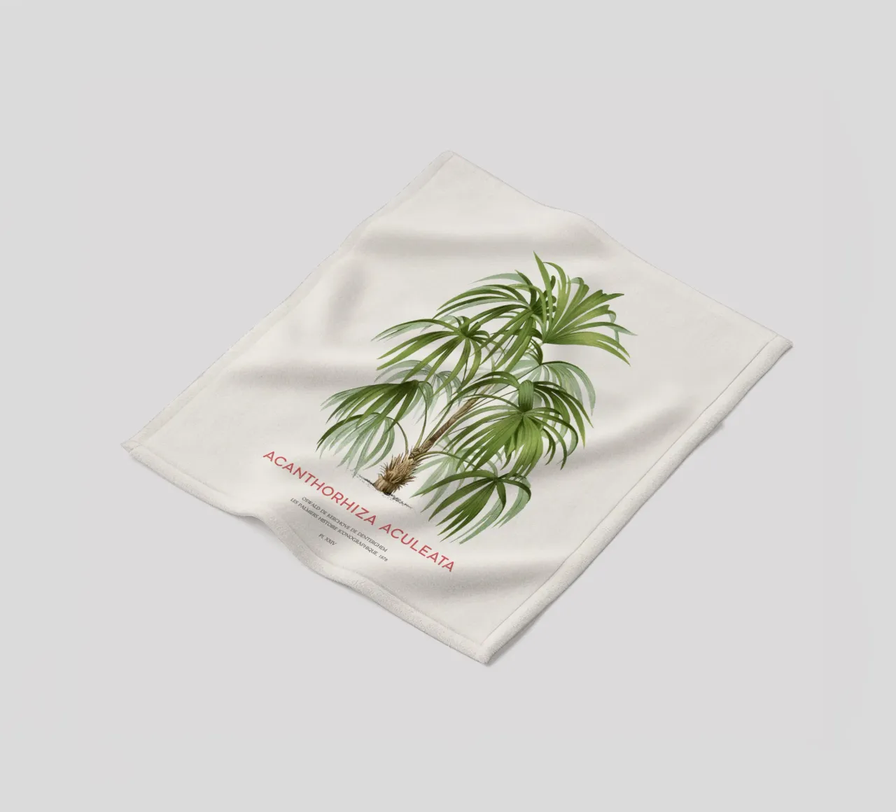 Cryosophila-Palme oder Acanthorhiza aculeata Fleecedecke von Vintagrafica
