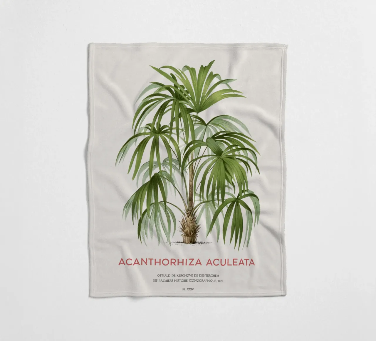 Cryosophila-Palme oder Acanthorhiza aculeata Fleecedecke von Vintagrafica