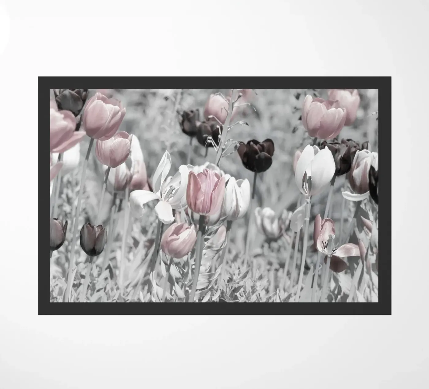 Tulipani zerbino da Atteloi