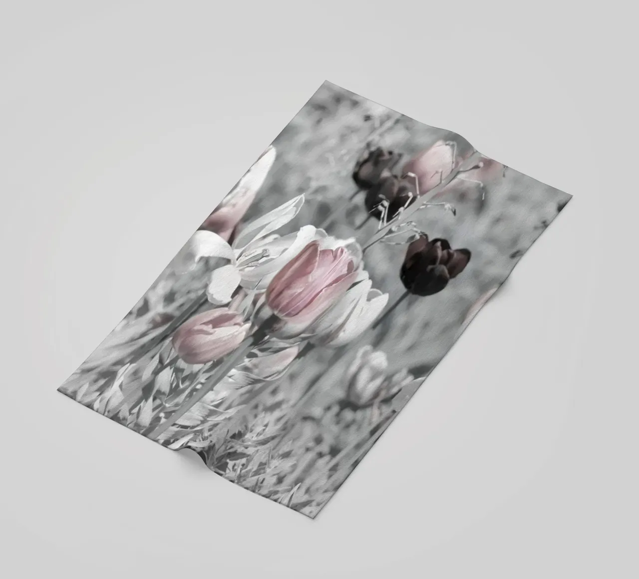 Tulipani telo mare da Atteloi