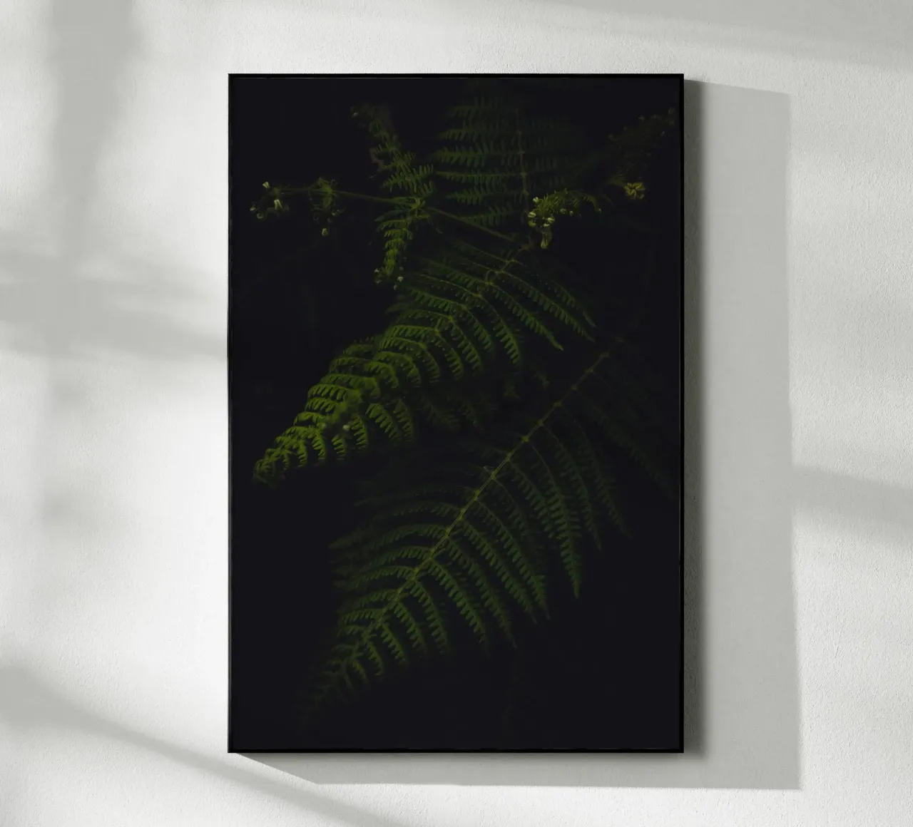 Fern plexiglass da smallstage.photography